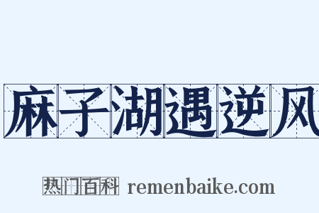 麻子湖遇逆风是什么意思的图片
